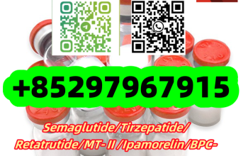 Semaglutide 910463-68-2 SS-31 736992-21-5 GHK-CU 49557-75-7