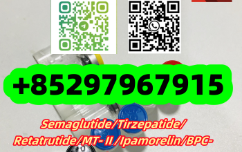 MT-Ⅱ 121062-08-6 Ipamorelin 170851-70-4 Triptorelin 57773-63-4