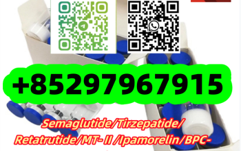 Ipamorelin 170851-70-4 AOD-9604 221231-10-3 Sermorelin 86168-78-7