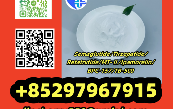 Retatrutide 2381089-83-2 MT-Ⅱ 121062-08-6 Ipamorelin 170851-70-4