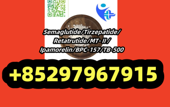 Semaglutide 910463-68-2 MT-Ⅱ 121062-08-6 TB-500 77591-33-4