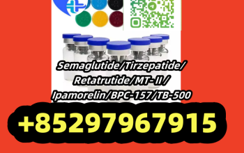 Semaglutide 910463-68-2 MT-Ⅱ 121062-08-6 TB-500 77591-33-4