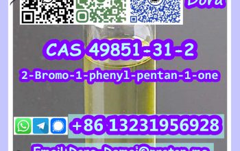 2-Bromo-1-phenyl-pentan-1-one CAS 49851-31-2