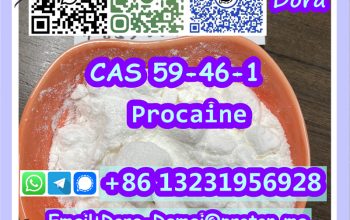 Procaine，CAS 59-46-1