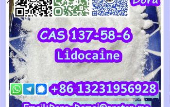 Lidocaine，CAS 137-58-6