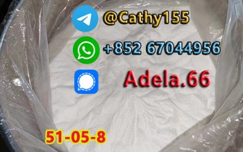 51-05-8 Procaine hydrochloride