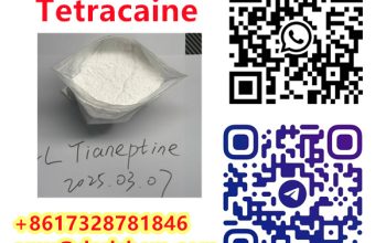 Manufacturer Supply Hot Sale Tetracaine HCl Price CAS 136-47-0